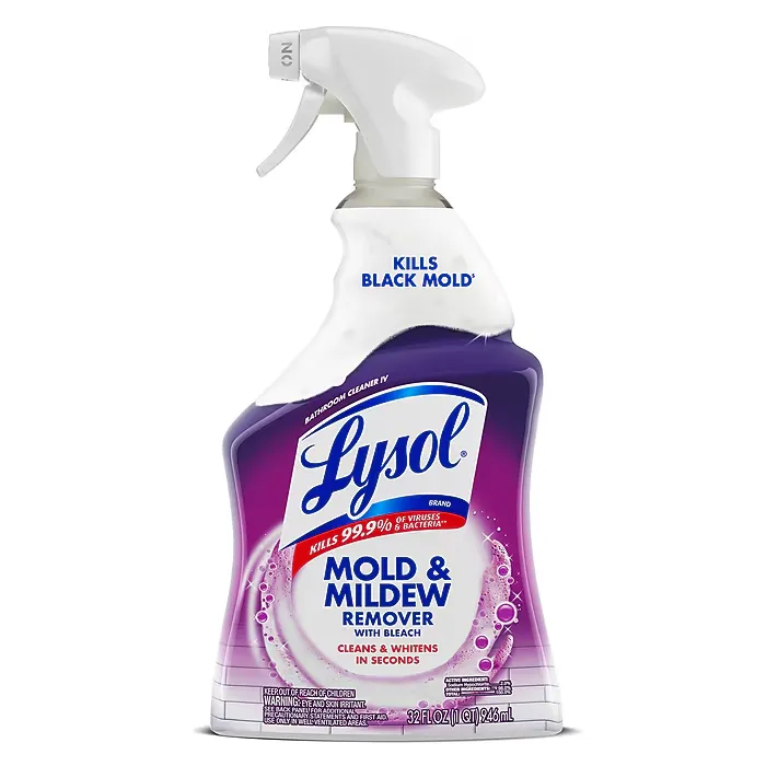 LYSOL MOLD & MILDEW REMOVER 32 OZ 12/CS